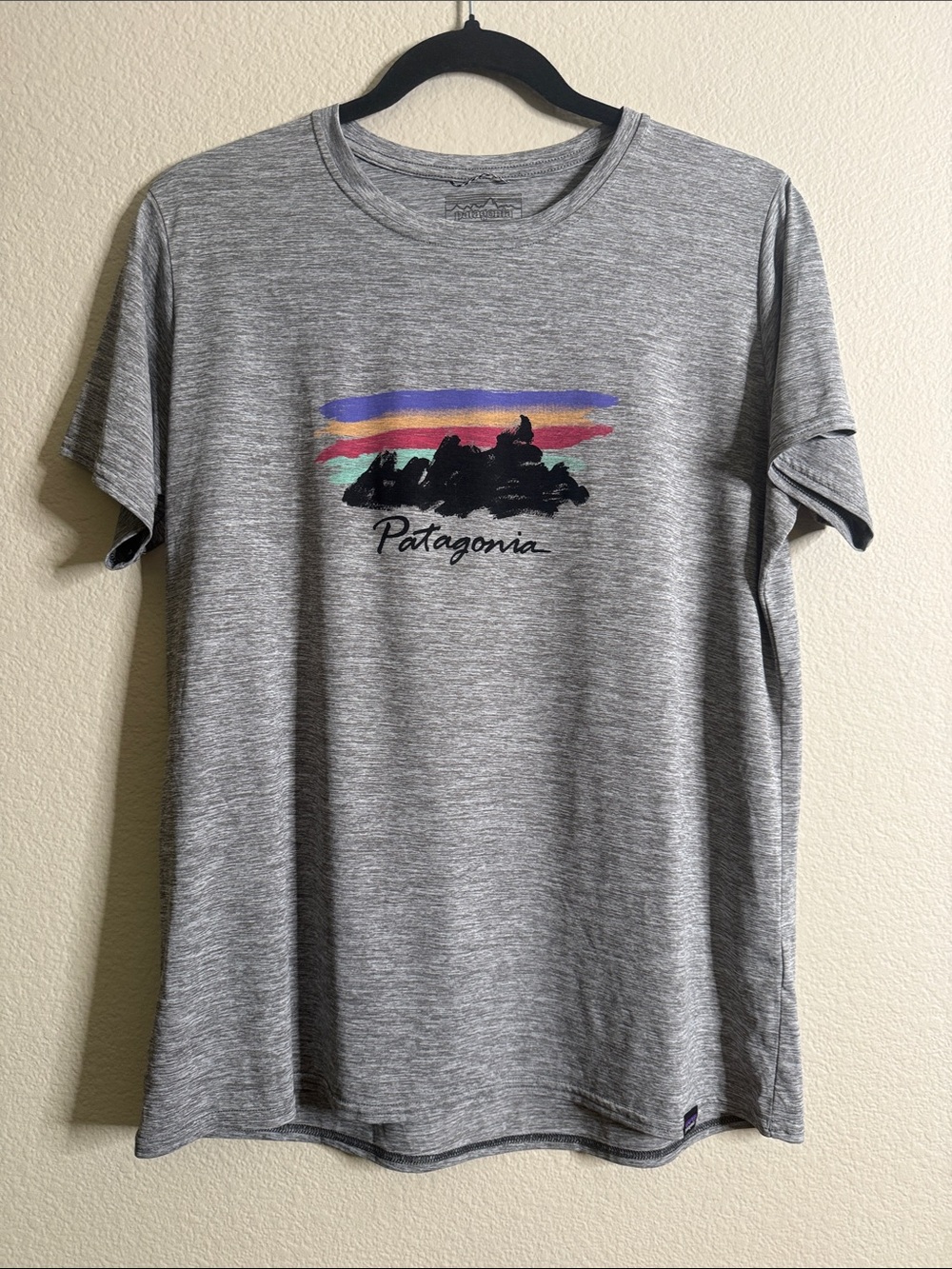 Patagonia Capilene cool daily short sleeve graphic tee in a large.
